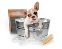 Gezondheid & verzorging