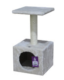 Kleine middelgrote katten