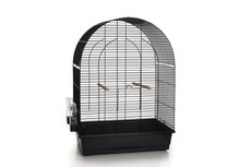 Vogelkooi Lucie Big