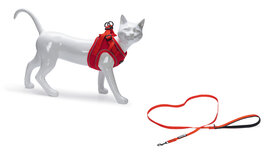 Beeztees Parinca Kattentuigje met Lijn Nylon Rood