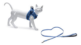 Beeztees Parinca Kattentuigje met Lijn Nylon Blauw