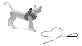 Beeztees Parinca Kattentuigje met Lijn Nylon Grijs