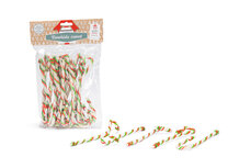 Beeztees Kerst Rawhide Cane Hondensnack 16 stuks