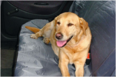 Beeztees Autodeken universeel