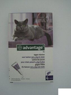 Advantage Cat