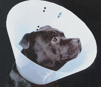 Hondenkraag Smart Collar