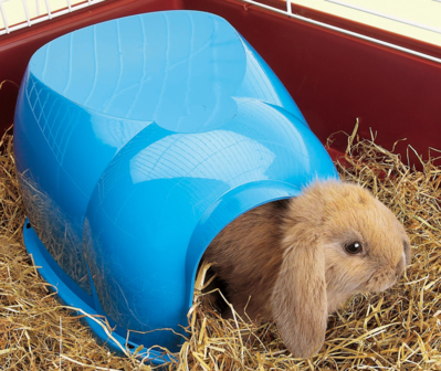 Plastic cavia/dwergkonijnhuis Cocoon