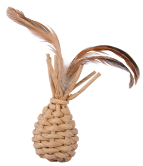 Petlando Earthcat Catnip Ananas