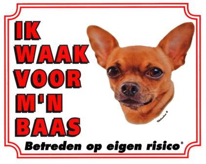 Waakbord Chihuahua Korthaar