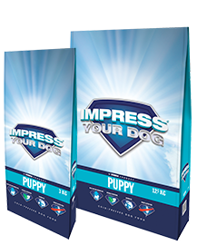 Impress Your Dog Puppy