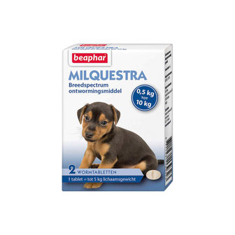 Milquestra wormmiddel kleine hond