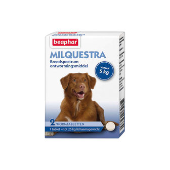 Milquestra wormmiddel middelgrote hond