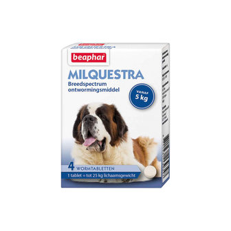 Milquestra wormmiddel grote hond