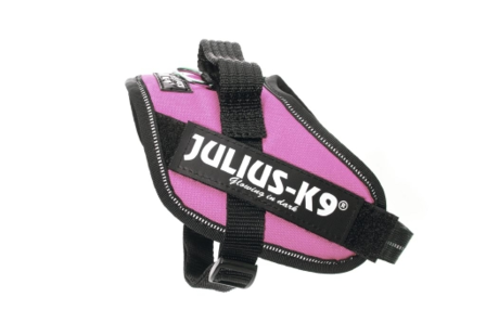 Julius K9 tuig Licht Roze