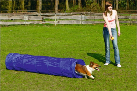 Beeztees Agility Tunnel Small 198 x 40 x 40 cm