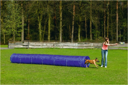 Beeztees Agility Tunnel Large 525 x 60 x 60 cm