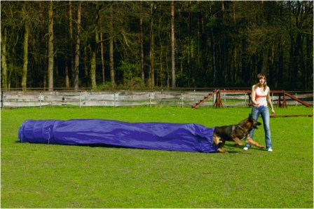 Beeztees Agility Tunnel met Zak 500 x 60 x 60 cm