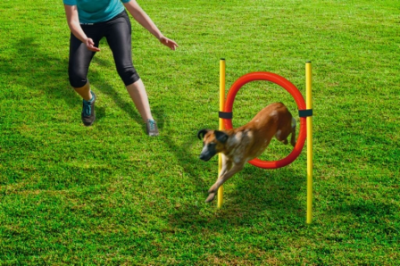 Beeztees Agility Hoepel set