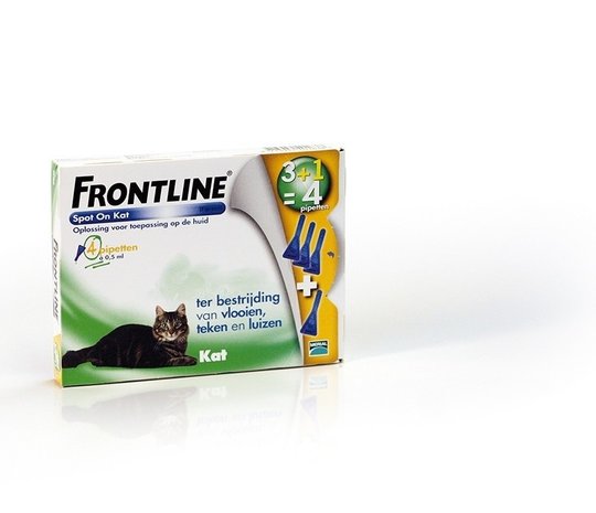 Frontline Kat