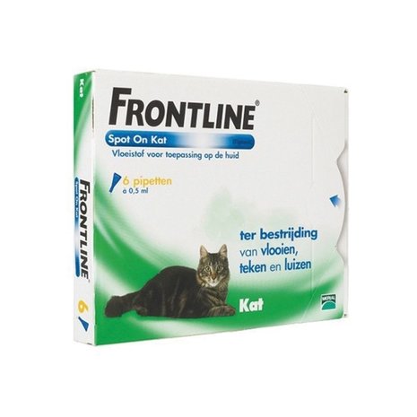 Frontline Kat