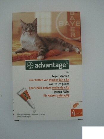 Advantage Cat