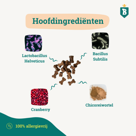Bobiotics Probiotica Anti-Jeuk