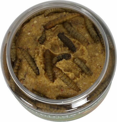 Boon 4-seizoenen vogelpindakaas larven+insecten 350 gram 