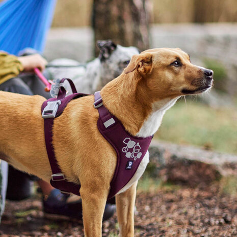 Hurtta weekend warrior harness eco 2 eggplant 