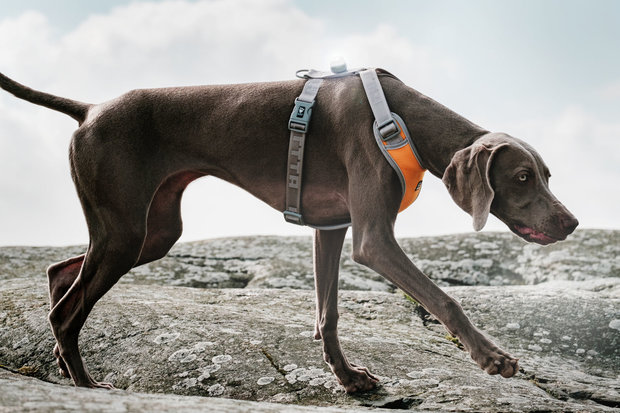 Hurtta Adventure Harness Orange/Silver